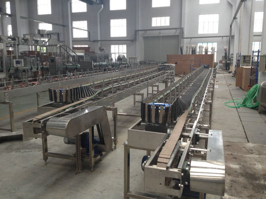 DPL Bottle Conveyor System